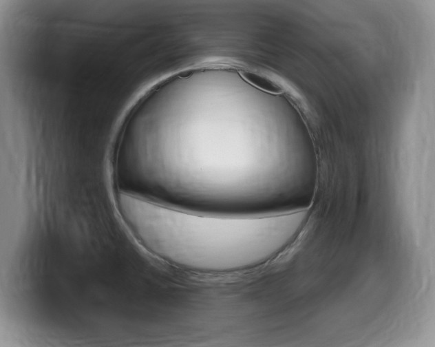 X0000099481430200805090824