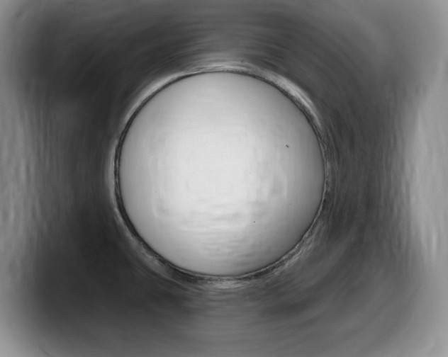 X0000099481431200805090824