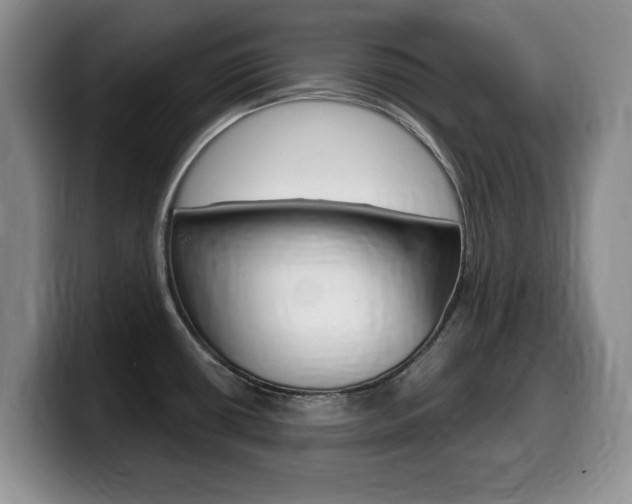 X0000099481434200805090824