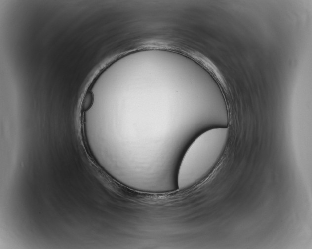 X0000099481435200805090824