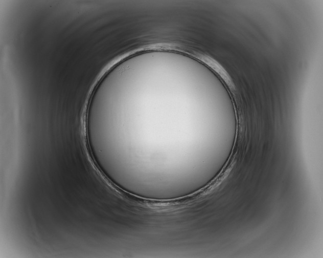 X0000099481436200805090824