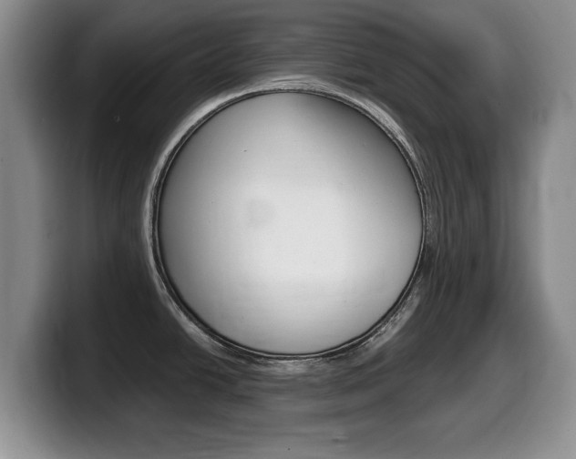 X0000099481438200805090824