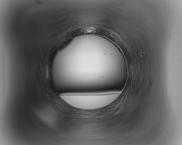 X0000099481442200805090824