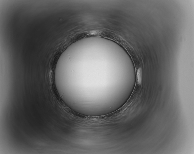 X0000099481443200805090824