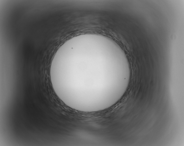 X0000099481445200805090824