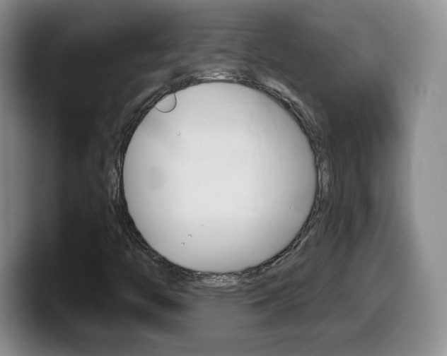 X0000099481446200805090824
