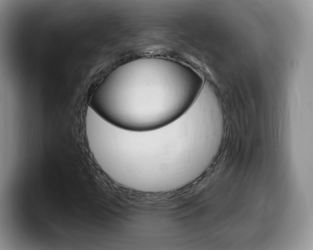 X0000099481447200805090824