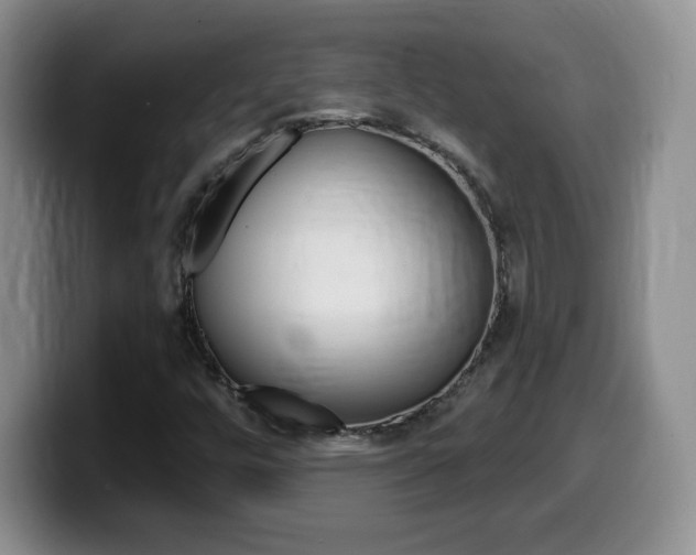 X0000099481448200805090824