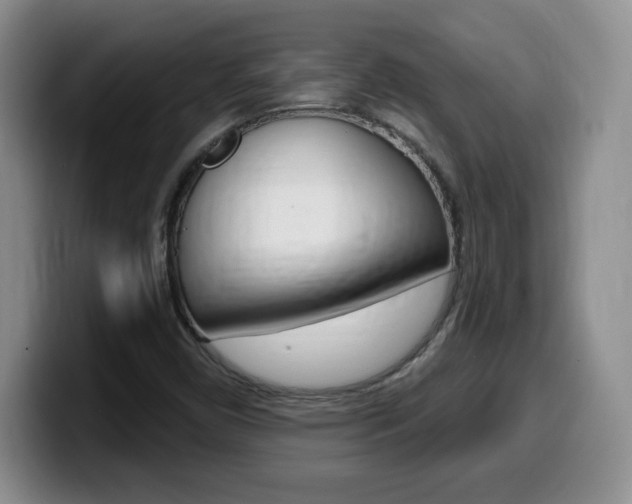 X0000099481450200805090824