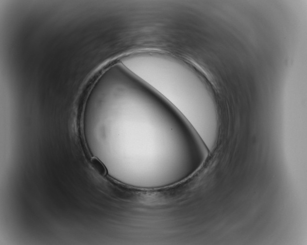 X0000099481452200805090824