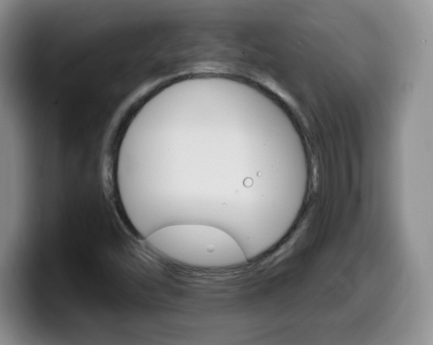 X0000099481454200805090824