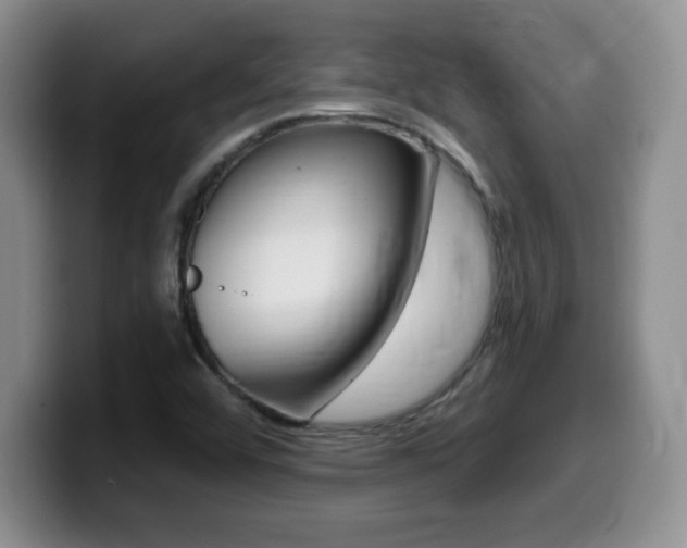 X0000099481456200805090824