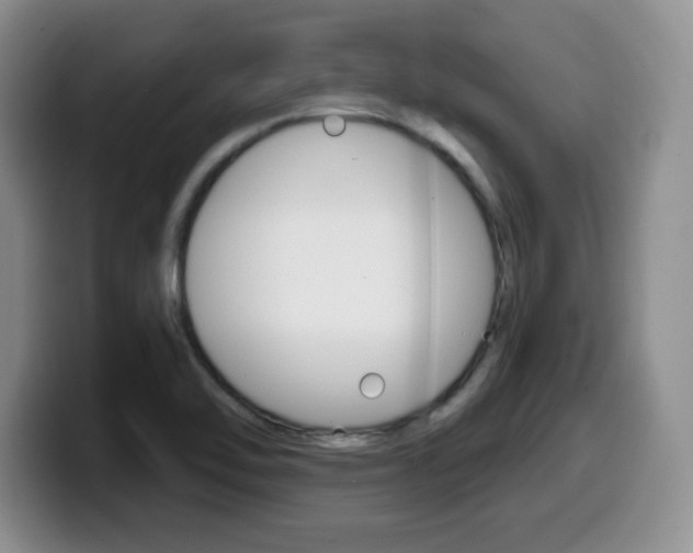 X0000099481462200805090824