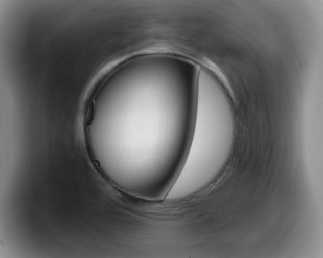 X0000099481464200805090823