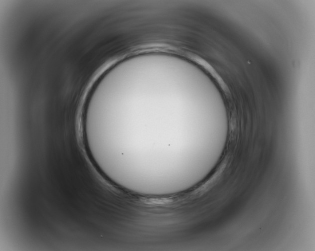 X0000099481466200805090823