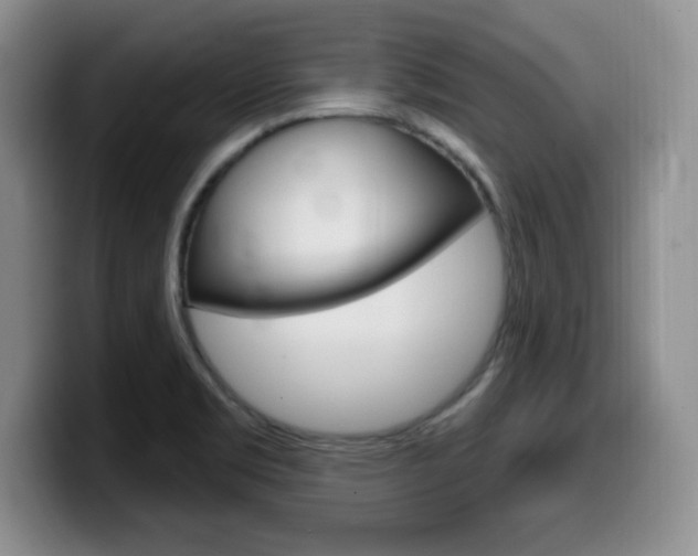 X0000099481469200805090823