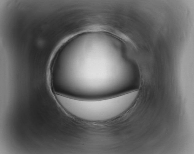 X0000099481472200805090823