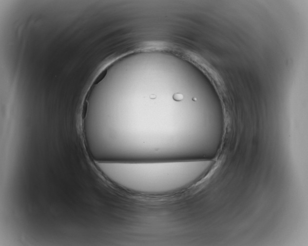 X0000099481473200805090823