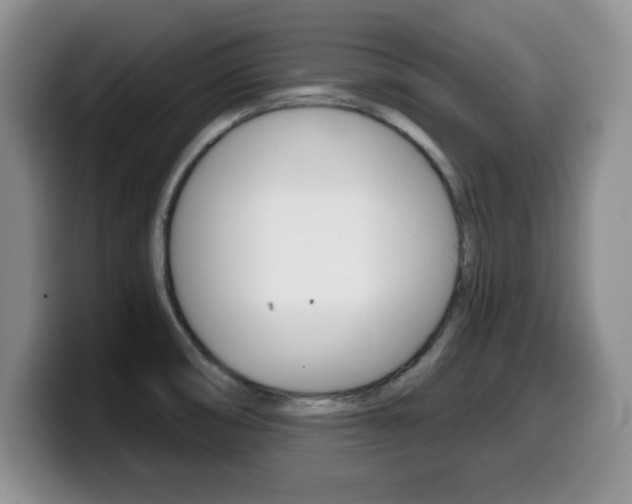X0000099481474200805090823