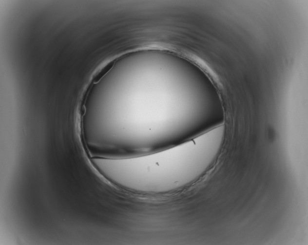 X0000099481476200805090823