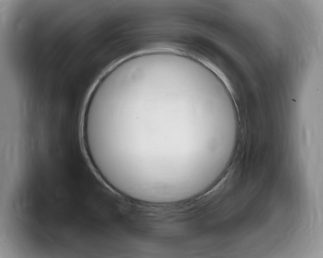 X0000099481477200805090823