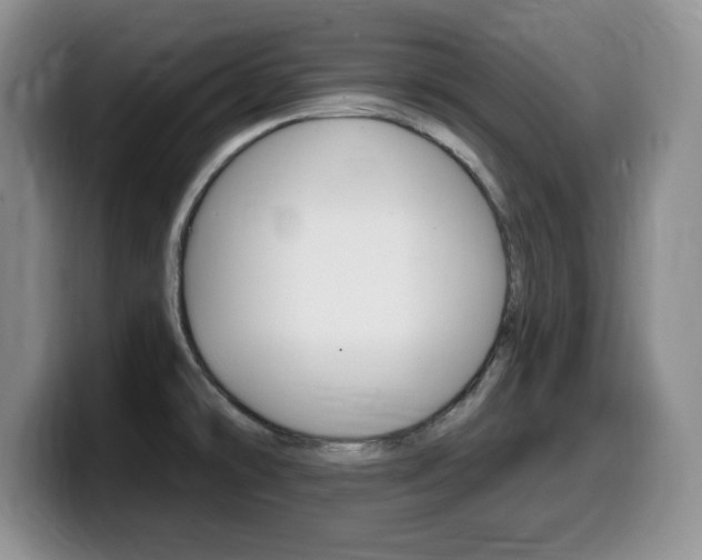 X0000099481478200805090823