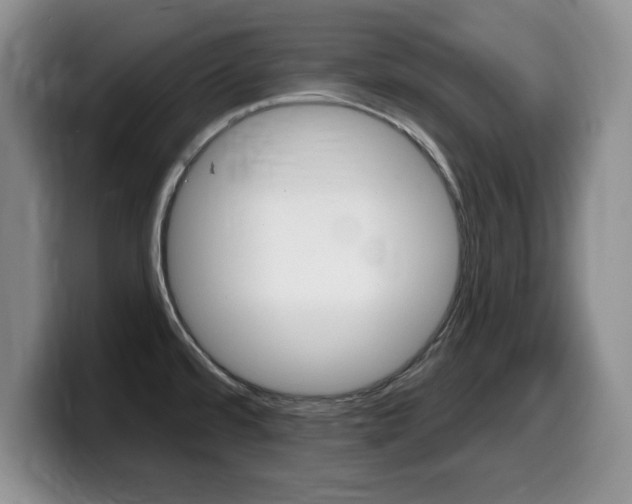 X0000099481480200805090823
