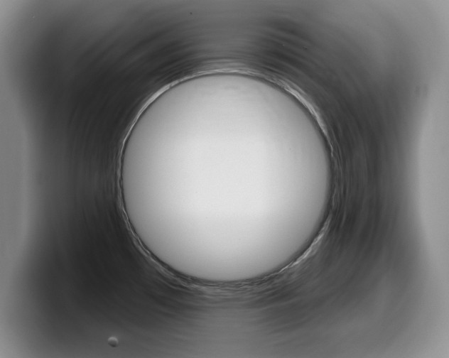 X0000099481481200805090823
