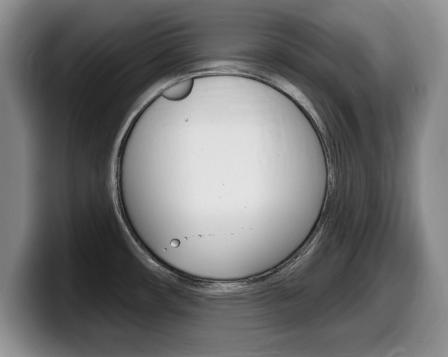 X0000099481482200805090823
