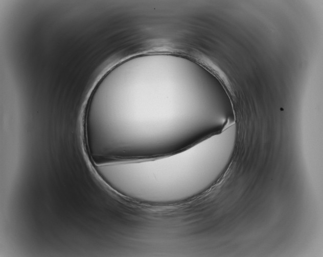 X0000099481483200805090823
