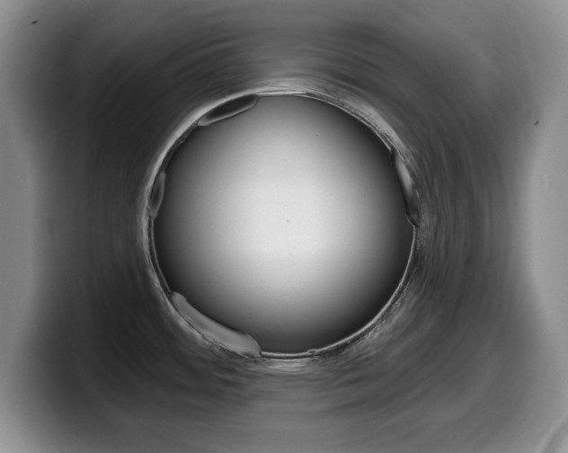 X0000099481484200805090823