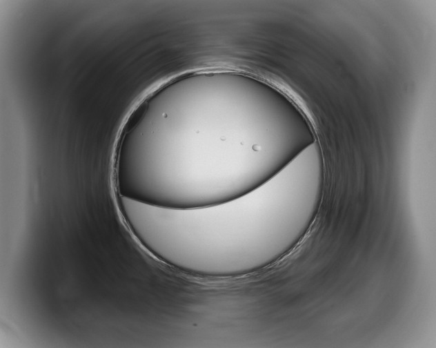 X0000099481485200805090823