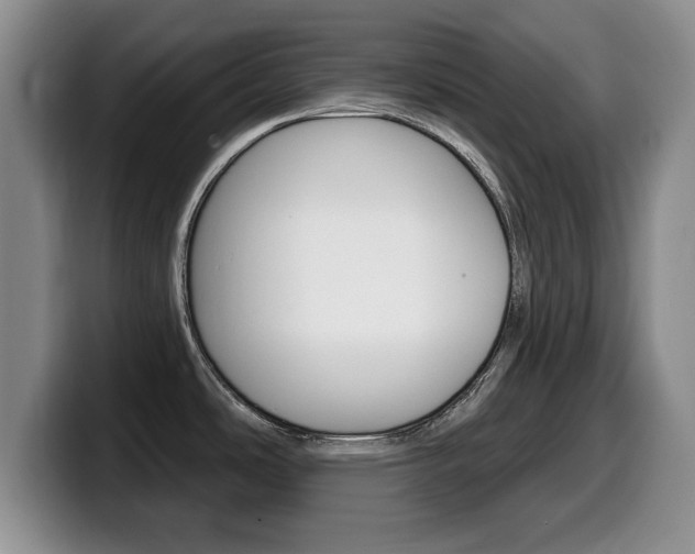 X0000099481486200805090823