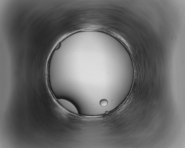X0000099481487200805090823