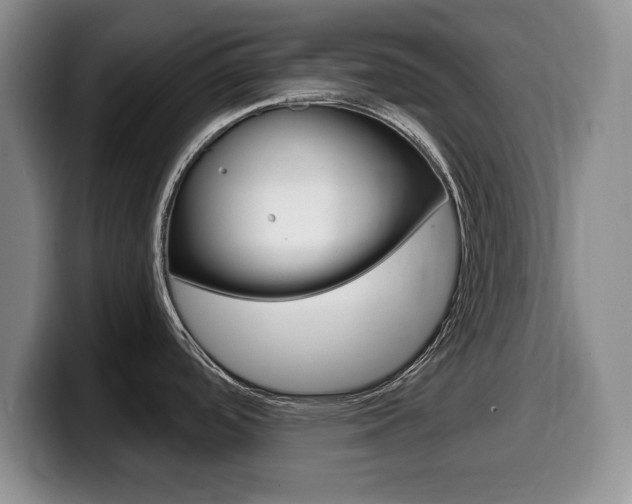 X0000099481488200805090823