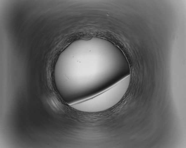 X0000099481489200805090823