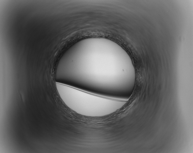 X0000099481490200805090823