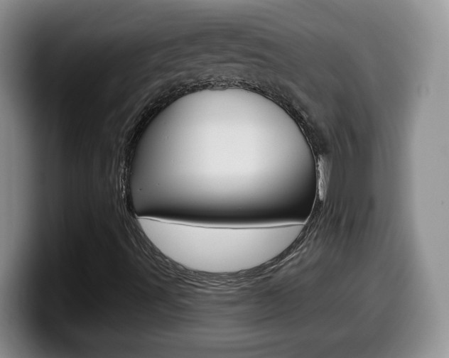 X0000099481491200805090823