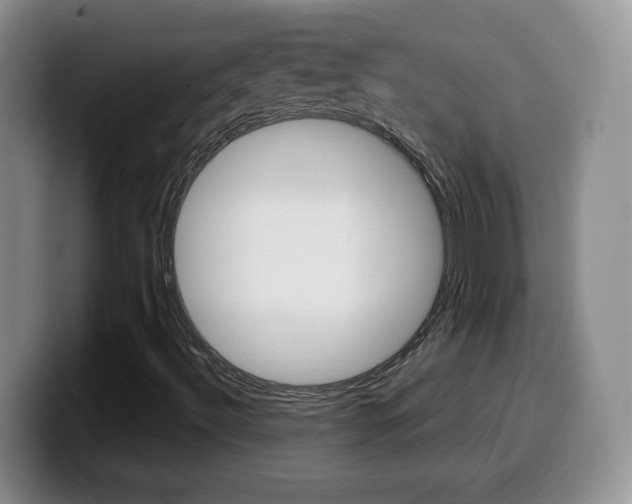 X0000099481492200805090823