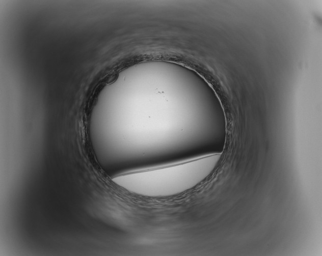X0000099481493200805090823