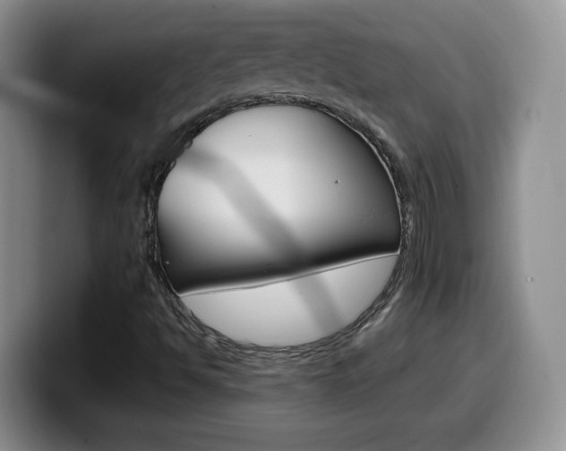X0000099481494200805090823