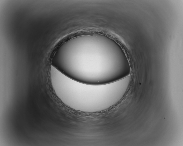 X0000099481496200805090823