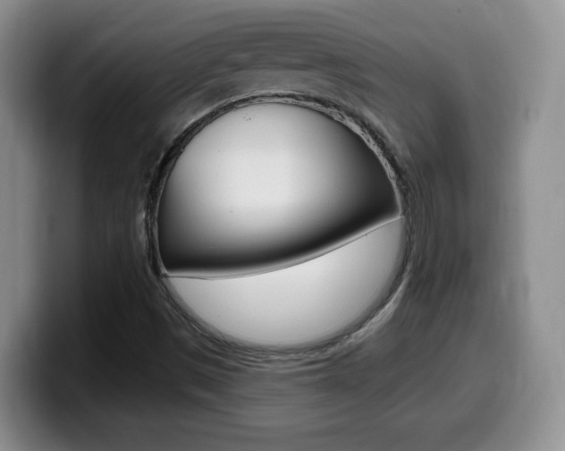 X0000099481497200805090823