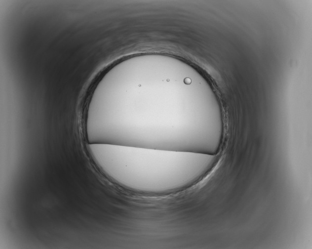 X0000099481498200805090823