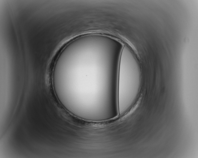 X0000099481501200805090823