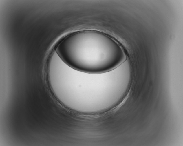 X0000099481502200805090823