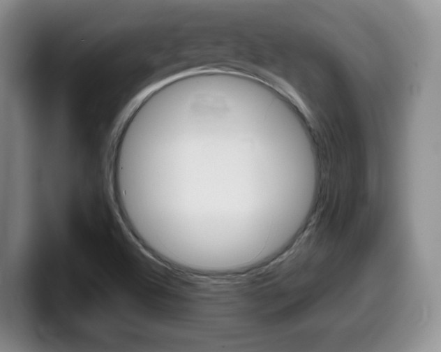 X0000099481504200805090823