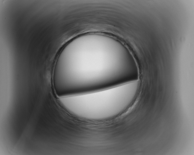 X0000099481505200805090823