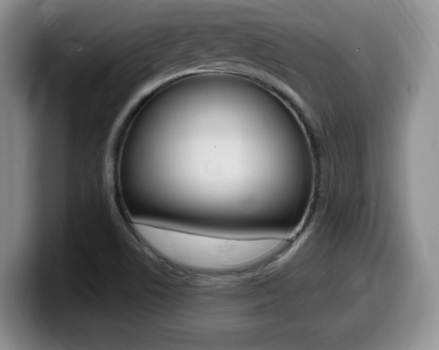 X0000099481506200805090823