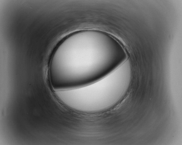 X0000099481507200805090823